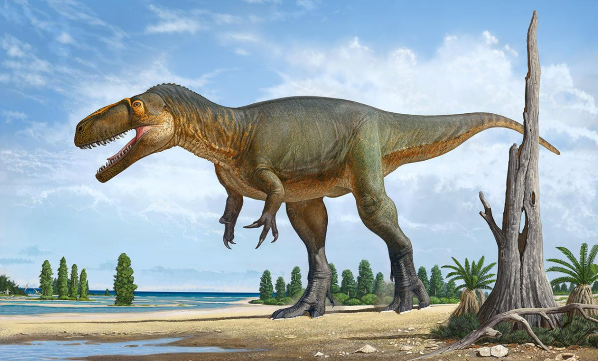 Wiehenvenator