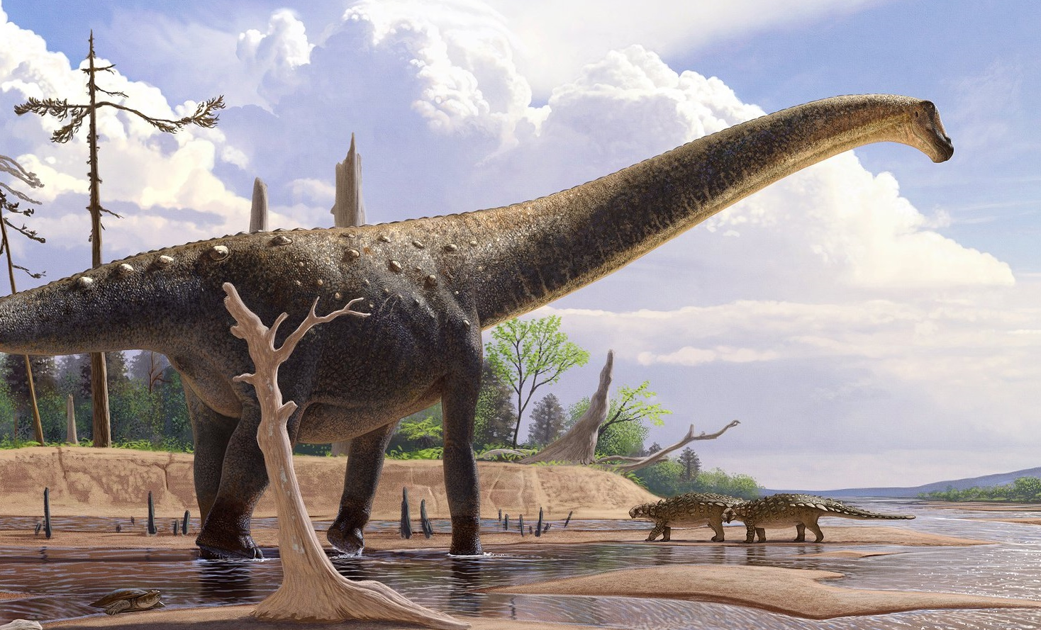 Abdarainurus