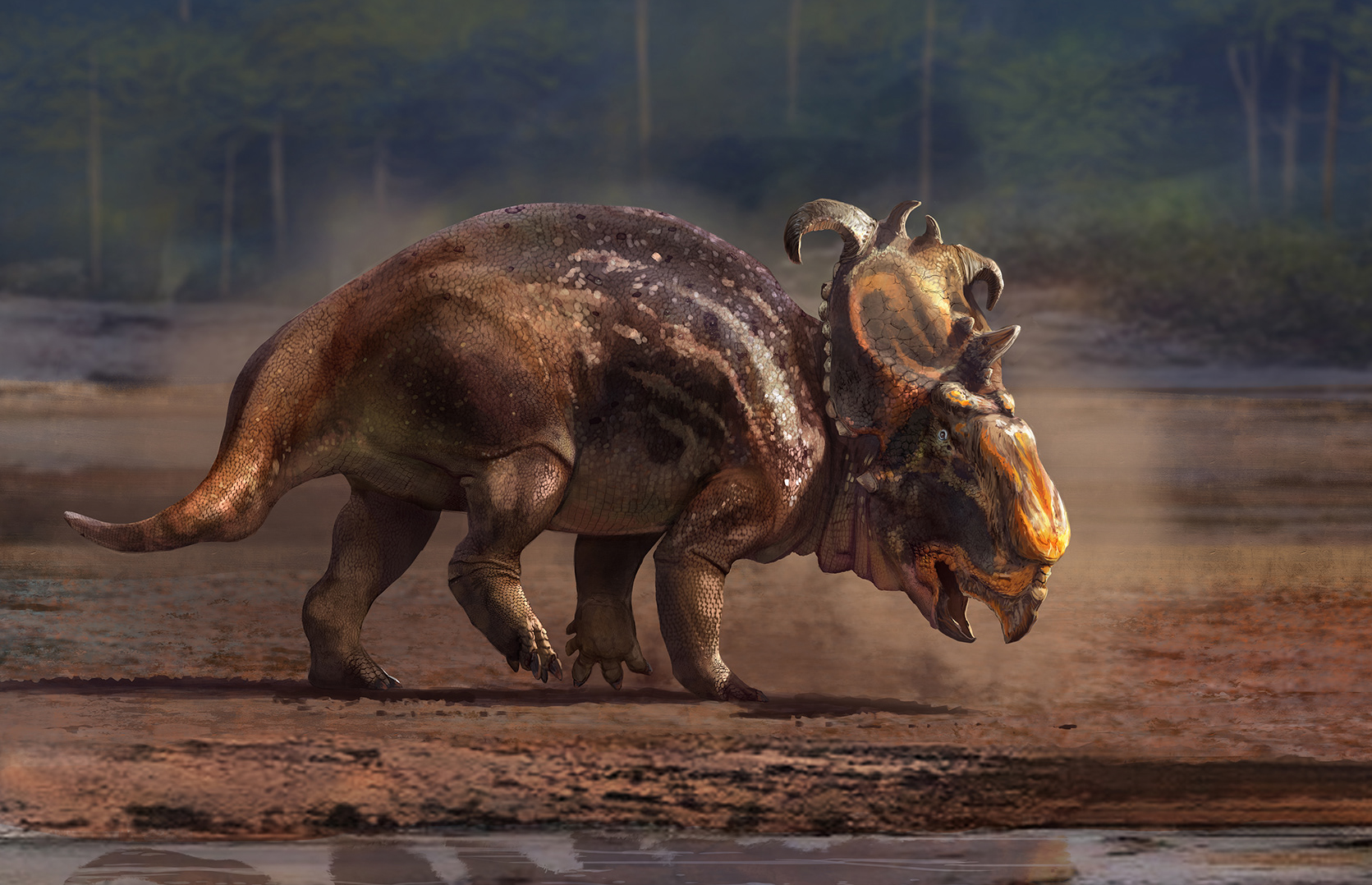 Pachyrhinosaurus