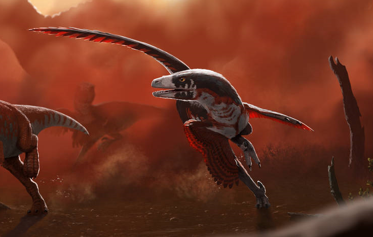 Saurornitholestes