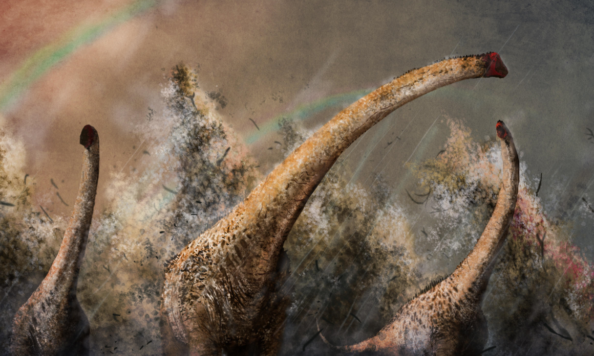 Pelorosaurus