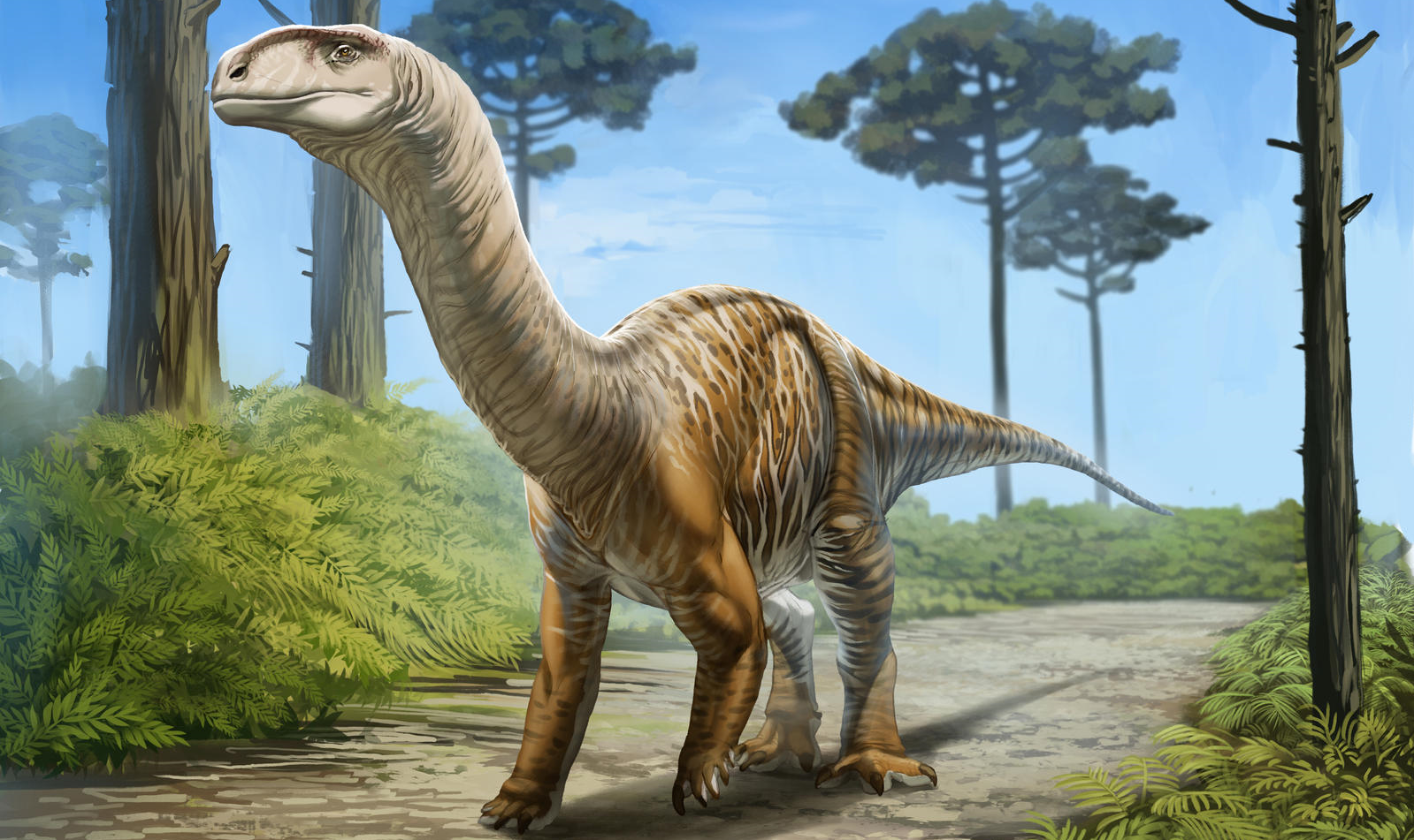 Melanorosaurus