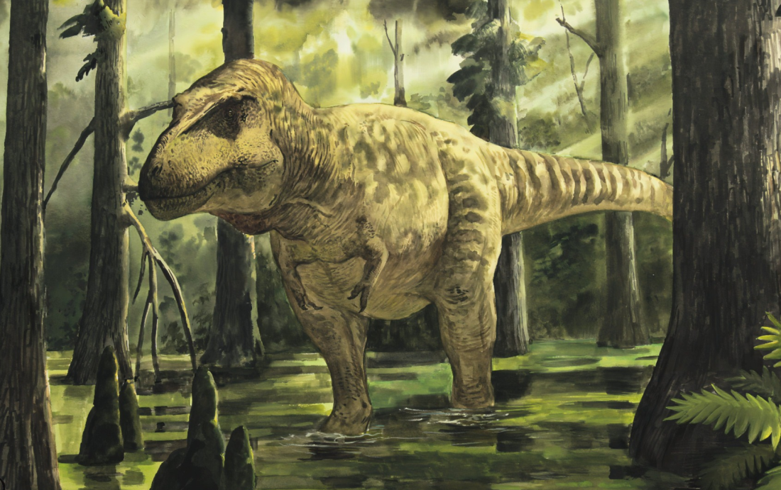 Tarbosaurus