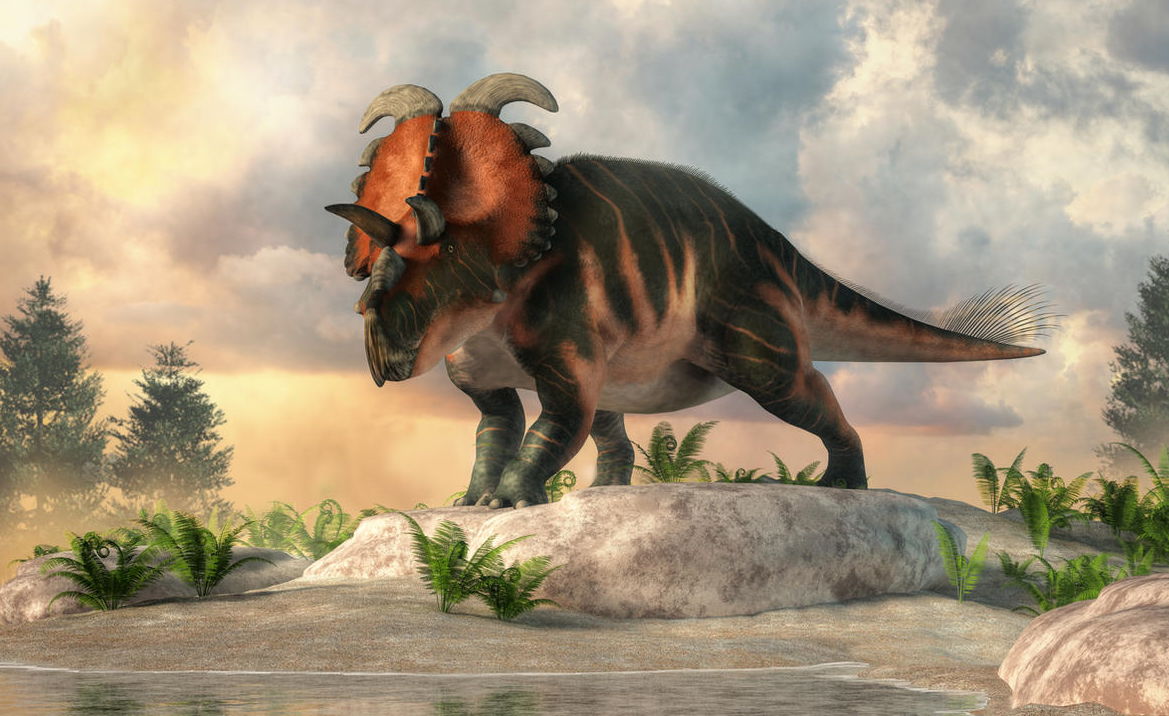 Albertaceratops