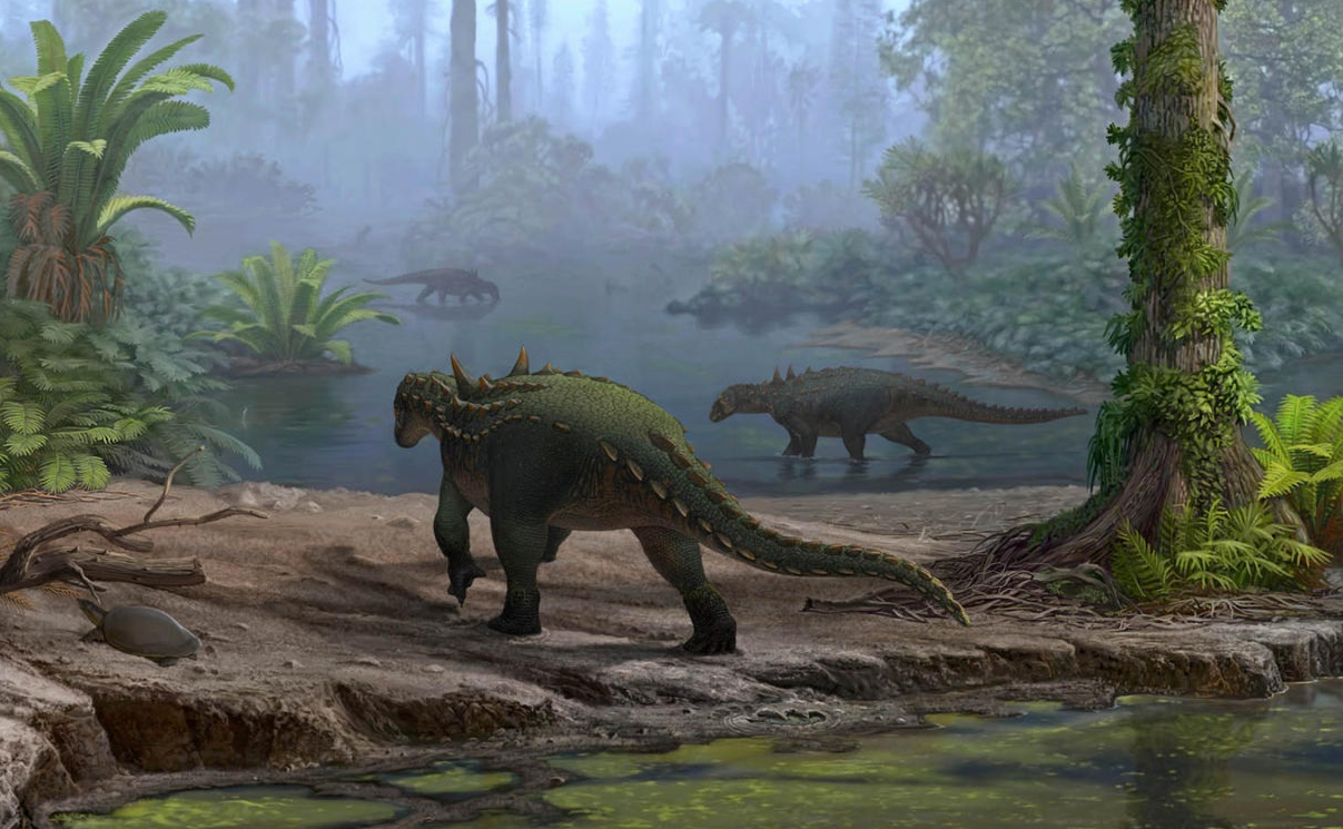 Struthiosaurus