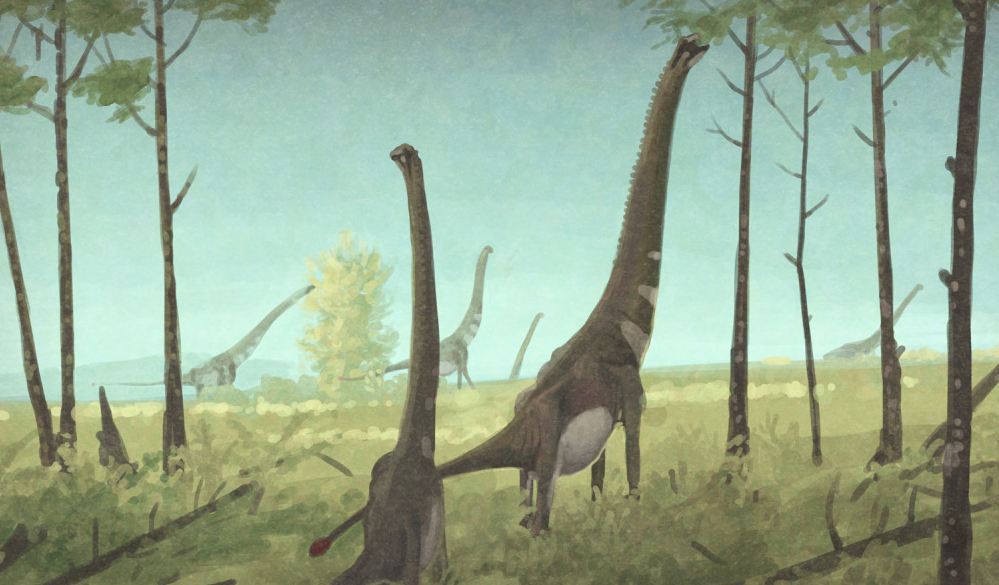 Euhelopus