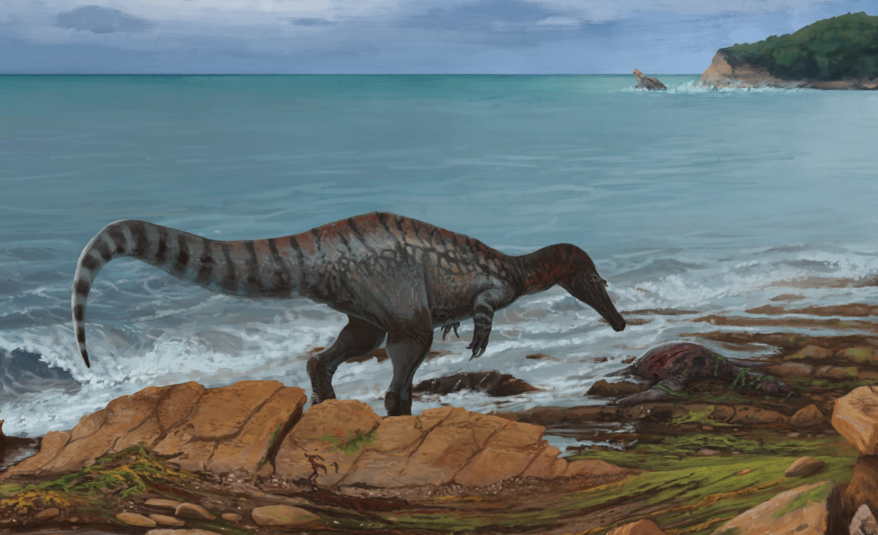 Baryonyx