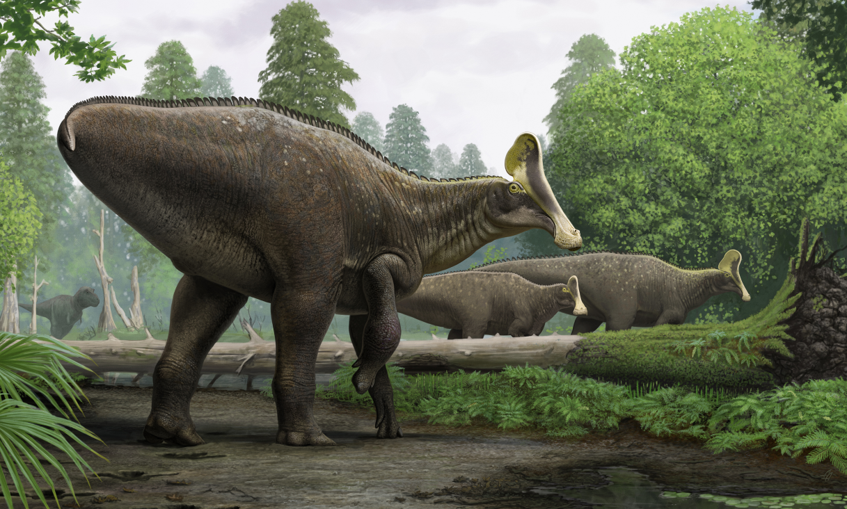 Amurosaurus