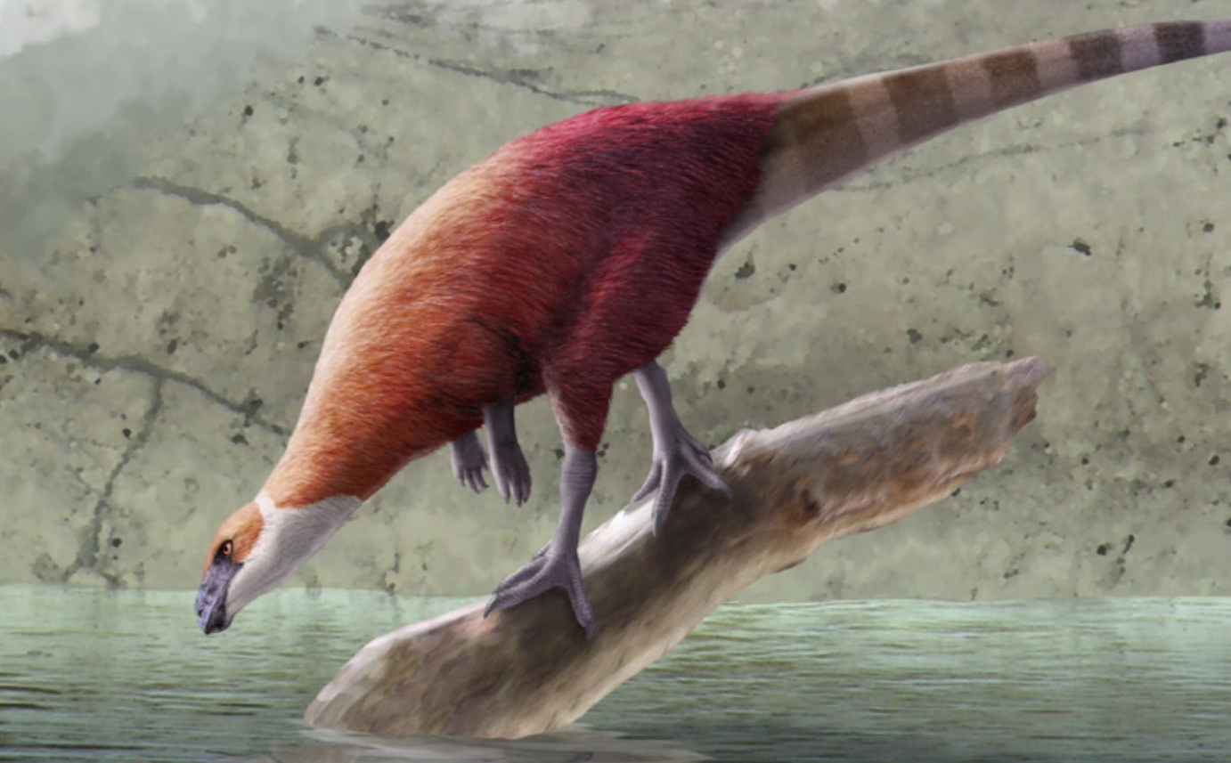 Parksosaurus