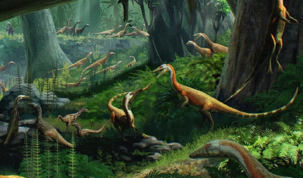 Coelophysis