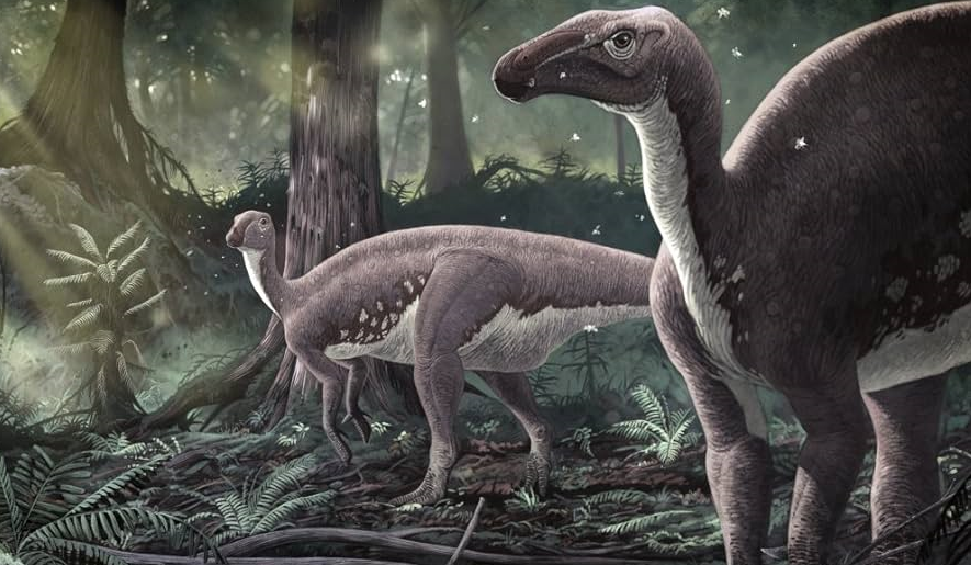 Mantellisaurus