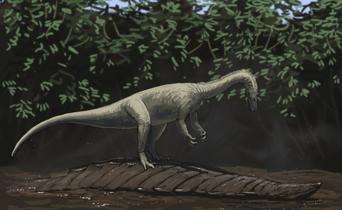 Jaklapallisaurus