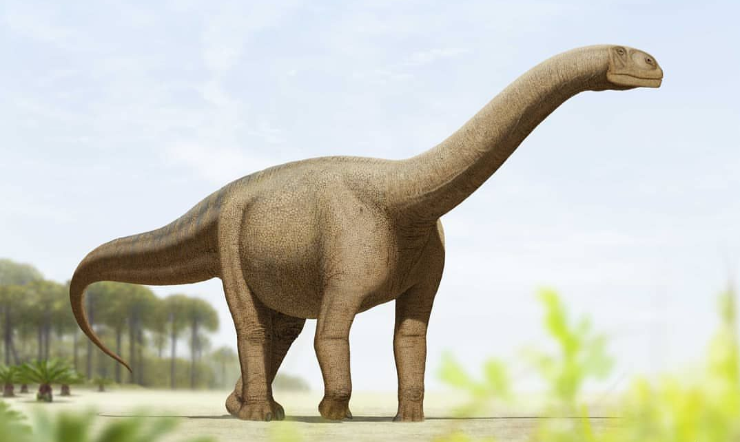 Turiasaurus