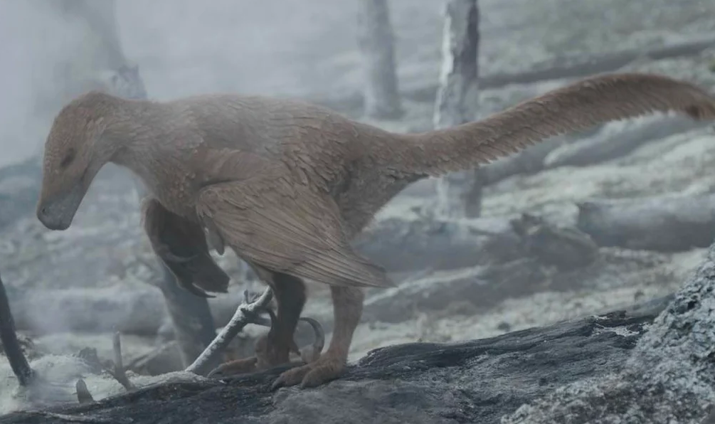 Atrociraptor