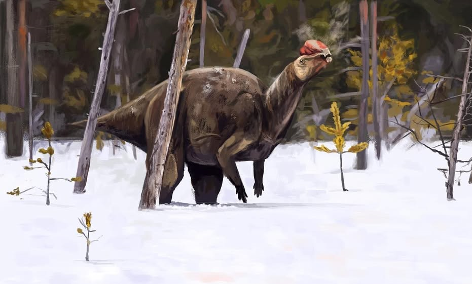 Muttaburrasaurus