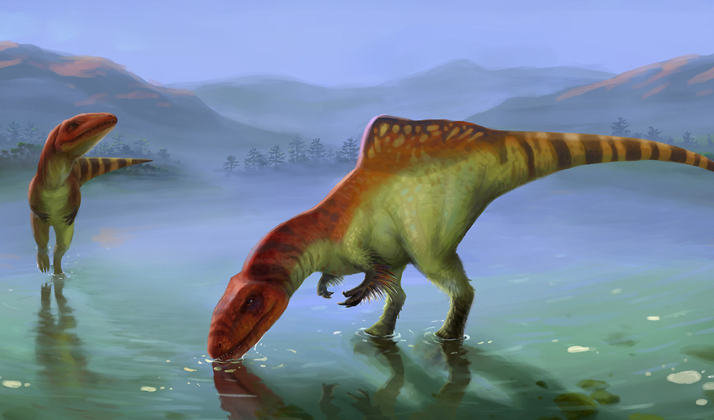 Concavenator