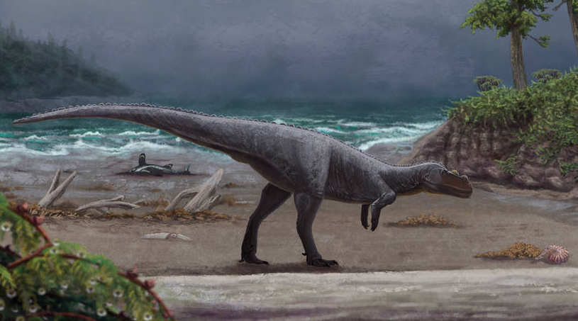 Berberosaurus