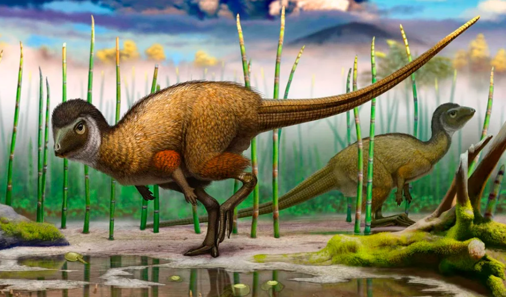 Kulindadromeus