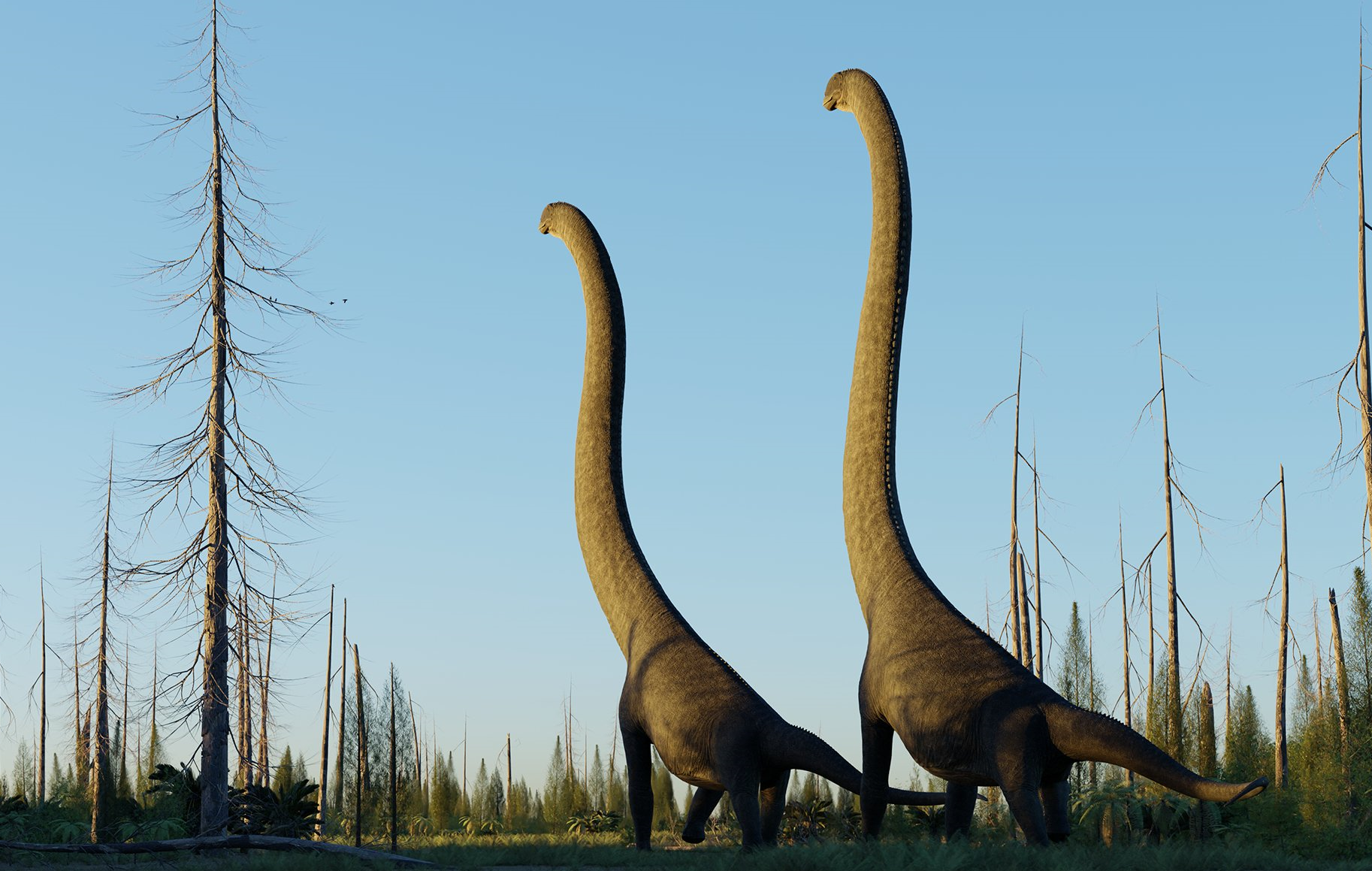 Sauroposeidon