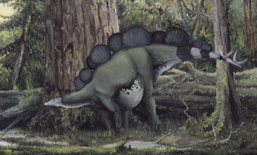Hesperosaurus