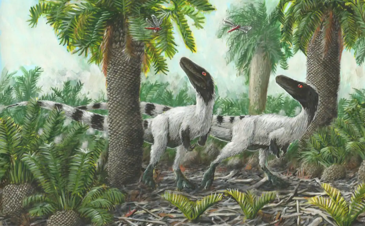 Aristosuchus