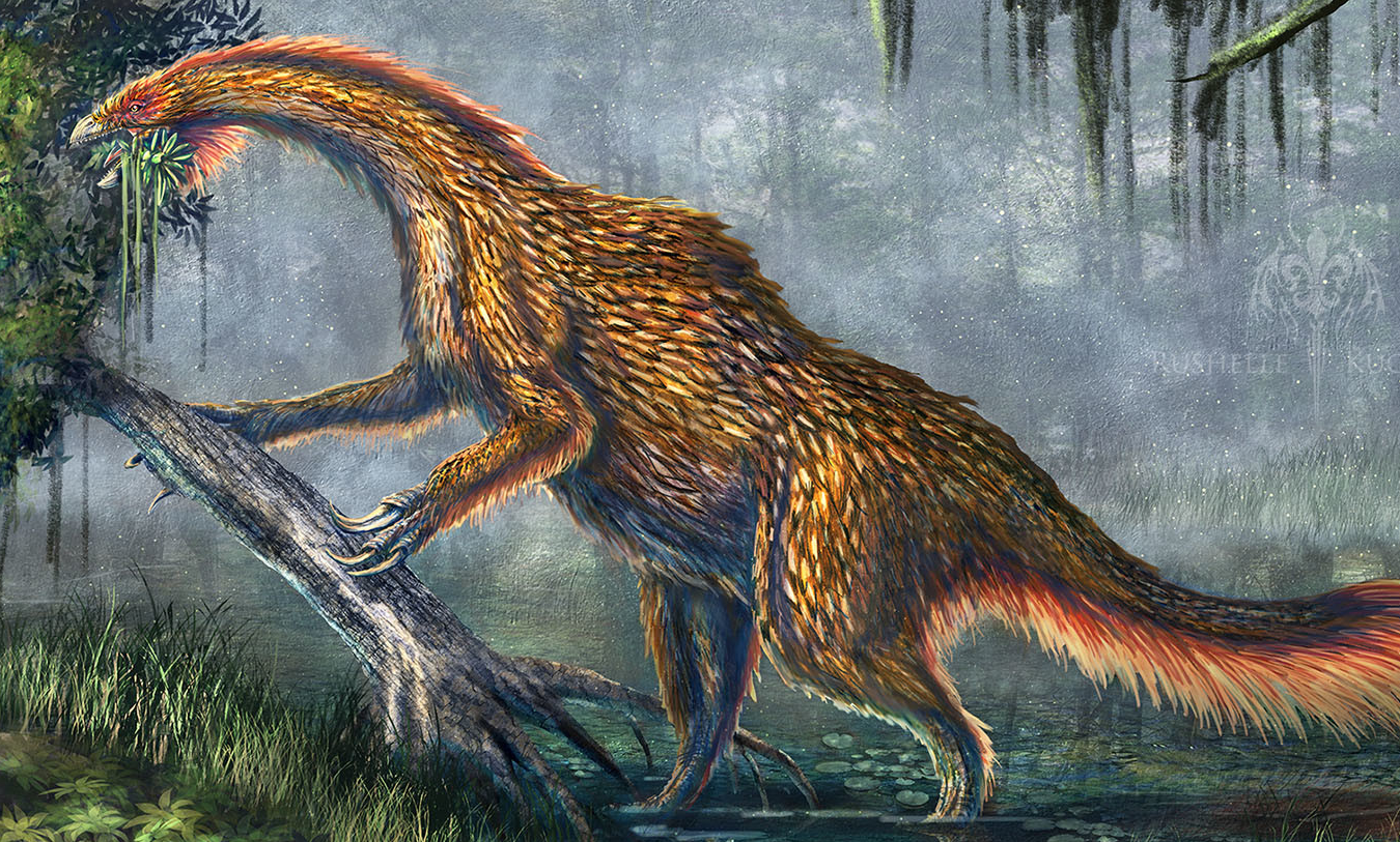 Nothronychus