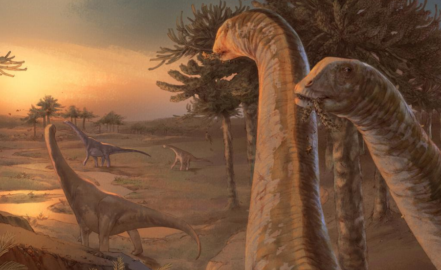Spinophorosaurus
