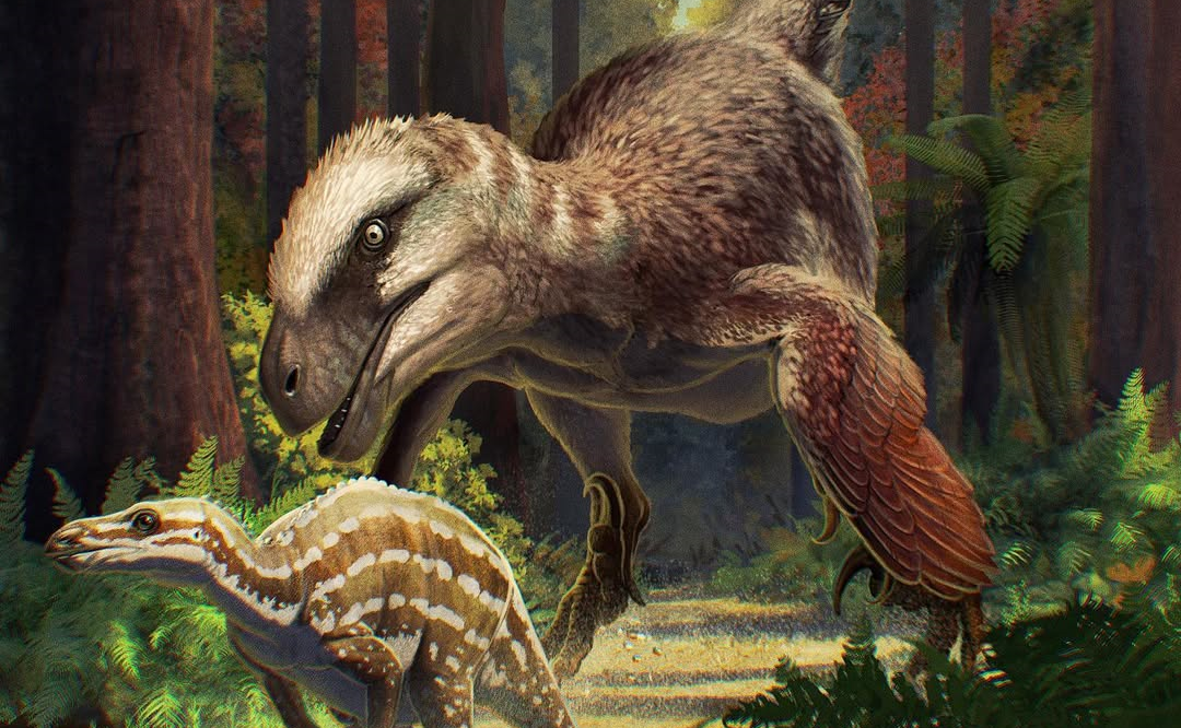 Utahraptor