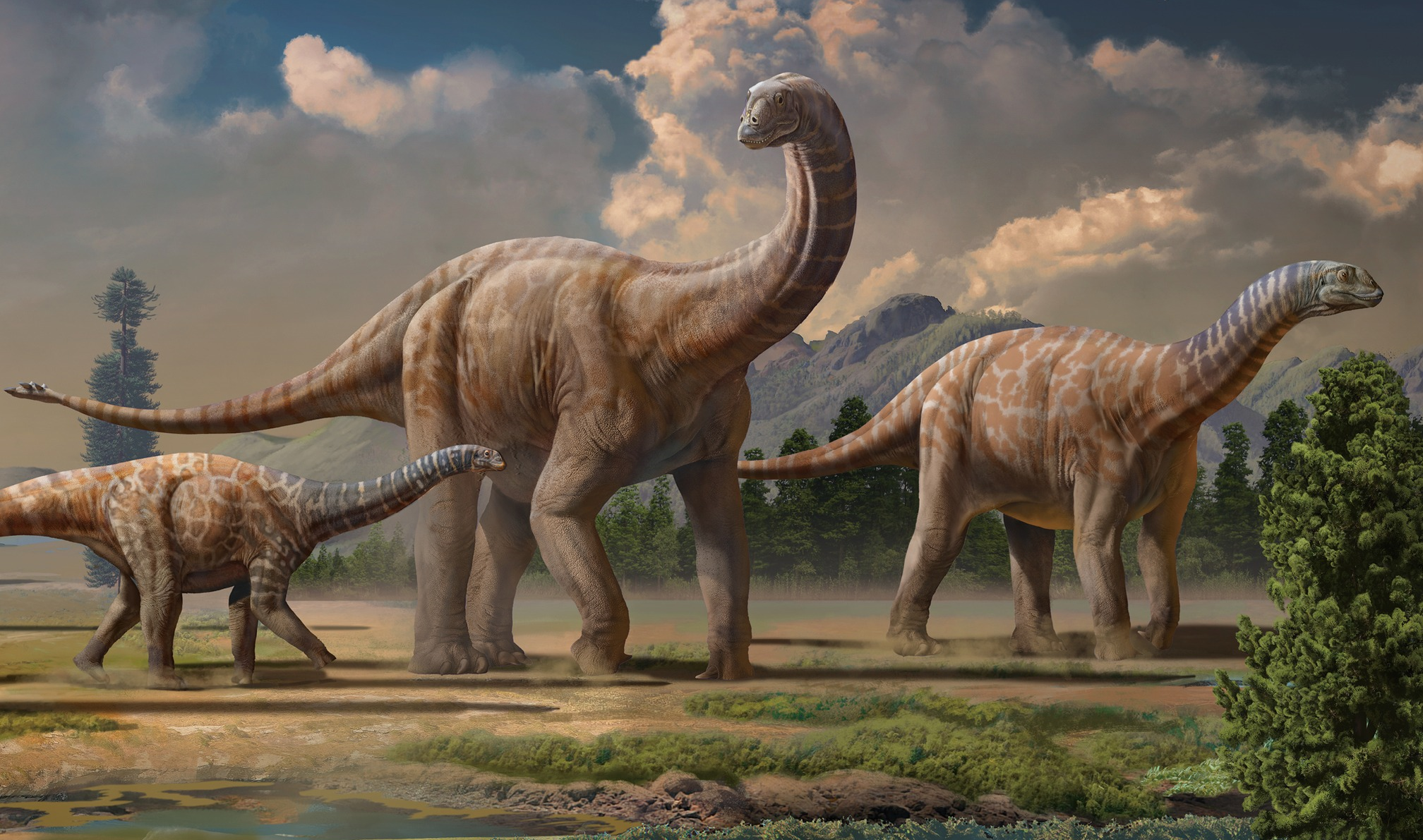 Shunosaurus