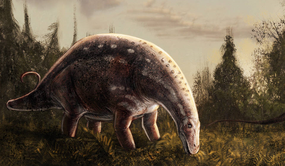 Brachytrachelopan