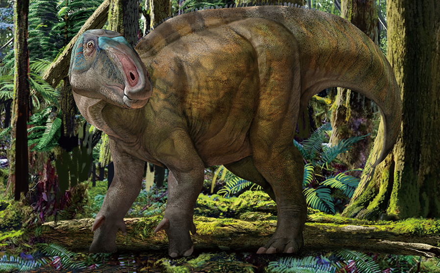 Jinzhousaurus