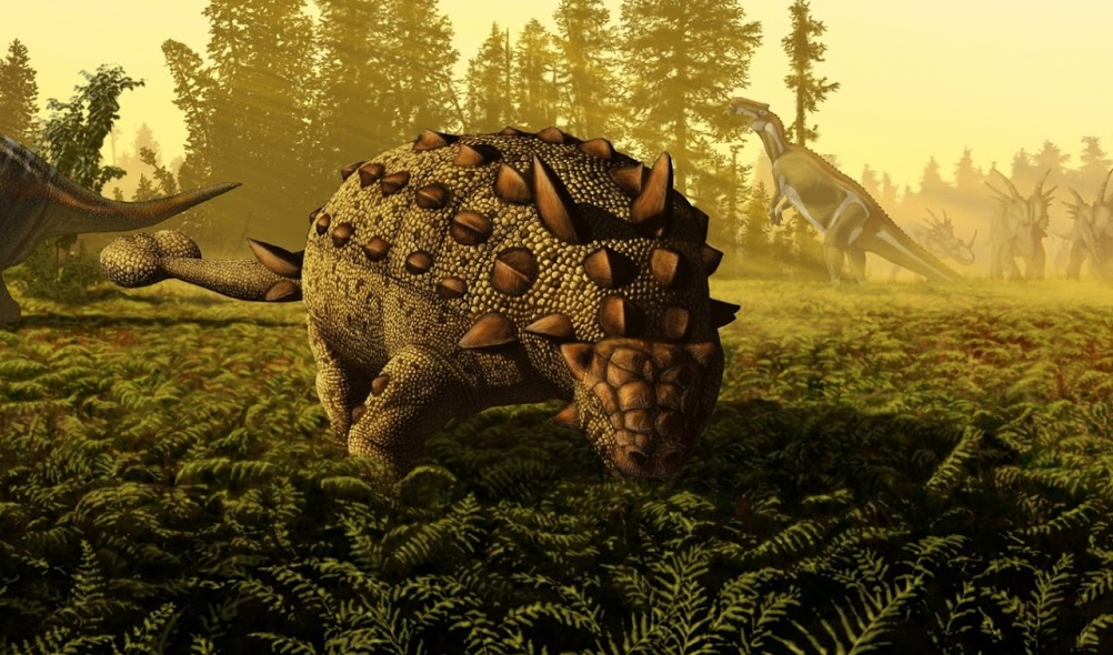 Euoplocephalus