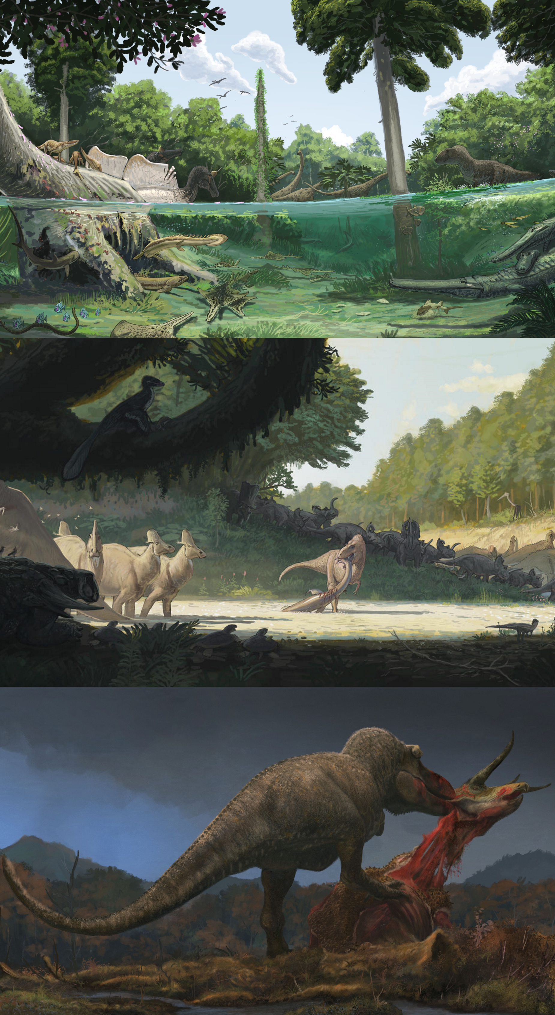 Late Cretaceous
